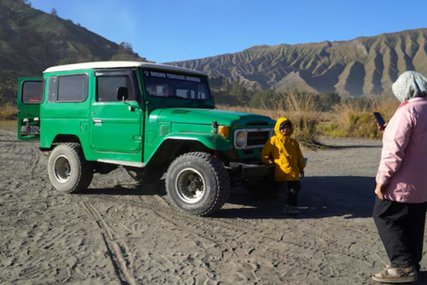 Toyota Stout